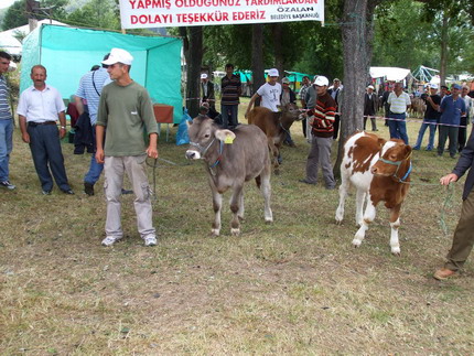 Resimleri g�rmek i�in t�klay�n�z.